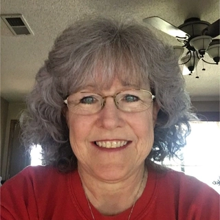 Lisa Barnett