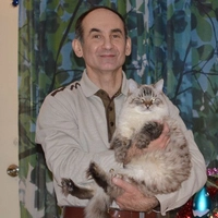 Marat Hazipov