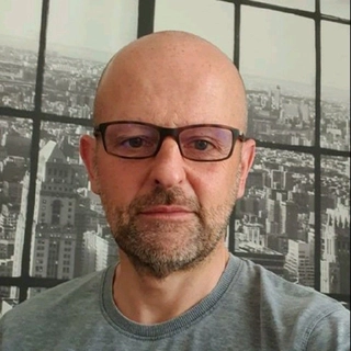 Massimiliano Bisin