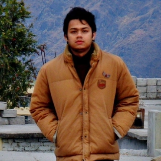 MAYANK DIMRI