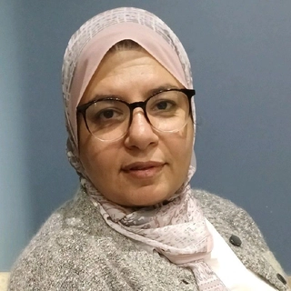 Mennatallah Metwaly Aly