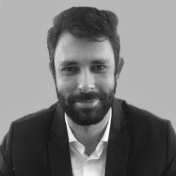 Michel Lisboa Castilho de Brito