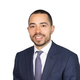 Mihai Popescu-Greaca