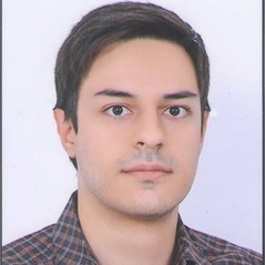 Mohammad Rafei