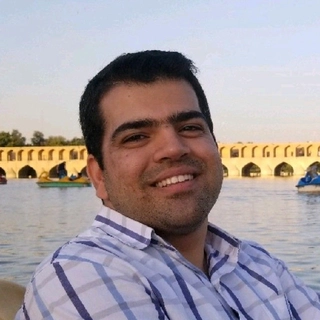 Mohammad Saeid Mahdavinejad, PHD