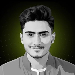 Mohsin Ali Expert Graphic Designer