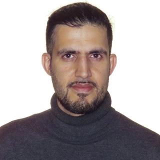 Mojtaba Khomami Abadi