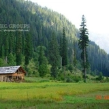 Muhammad Sheraz