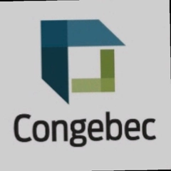 P.log Lamiaa Mohamed