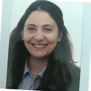 Parisa Bakhtiari Koshkojani