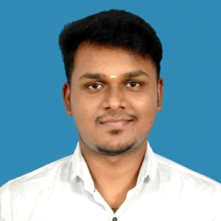 Parthasarathi S