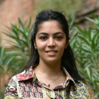 Parul Surma