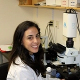 Paula Llabata Babiano, PhD