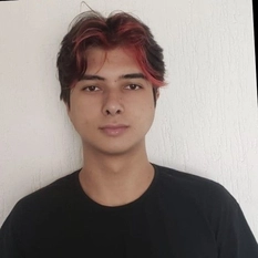 Pedro Henrique Silva Correa