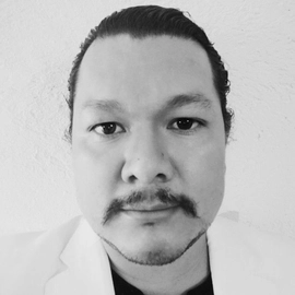 Pedro Victor Hugo Porcayo Beiza