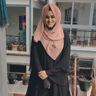 Sajjina N