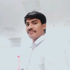 Sankara Rao Siripurapu