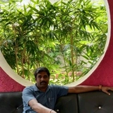 Srinivas Reddy