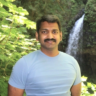 Srinivasan Mani