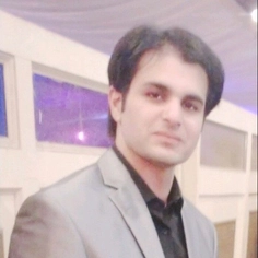 Syed Ali Ahmed