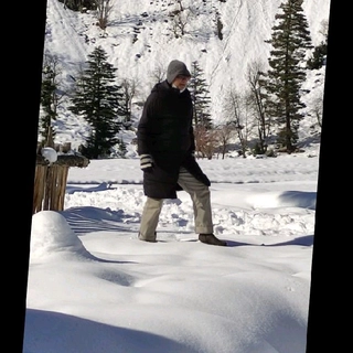 Syed Ghulam Faisal Moin