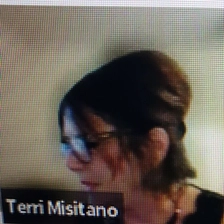 Terri Misitano