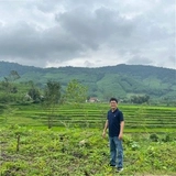 Viet Nguyen Huu