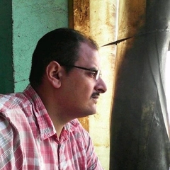 Walid Shehata