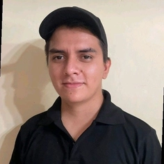 Wilmer D Cedeno