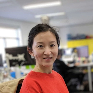Yamei Wang