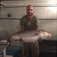 Yann Ramirez Vincent