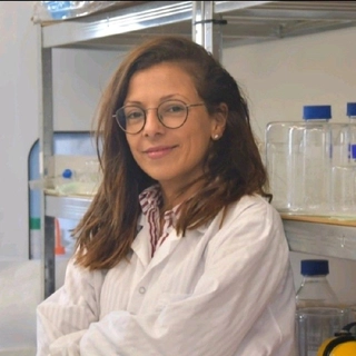 Yonit Bussi Greenfeld, PhD