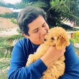 Yordi Agustin Paredes